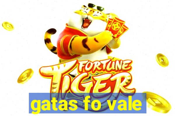 gatas fo vale